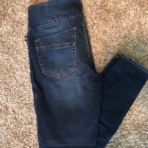 Rock & Republic Pull on Jeans